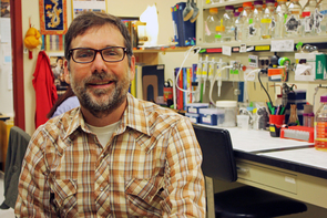Matt Cordes, a UA associate professor in the department of chemistry and biochemistry, led the team that discovered that the venom of some spiders in the genus Loxosceles causes a different reaction in the body than previously thought. (Photo: Beatriz Verdugo/UANews)